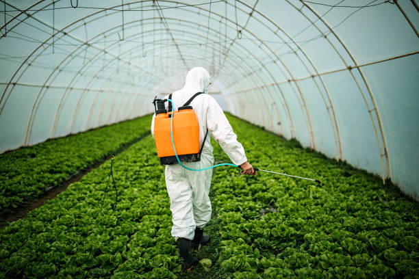 Best Ant Control Services  in Colfax, WA
