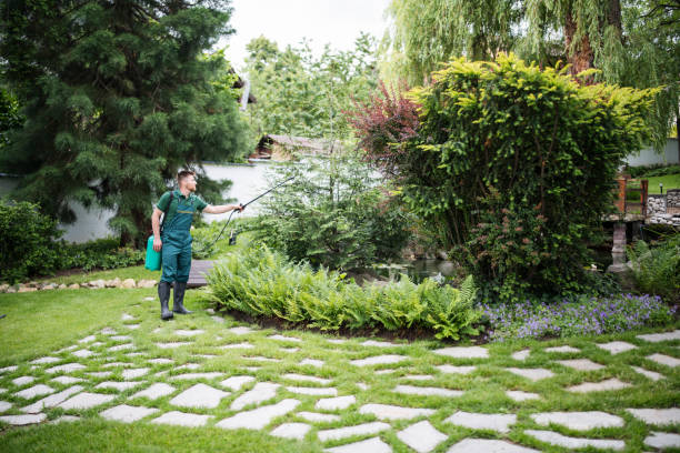 Best Bird Control  in Colfax, WA