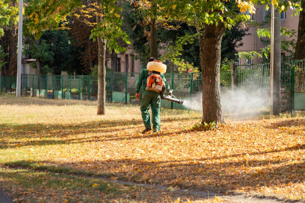 Best Rat Extermination Near Me  in Colfax, WA