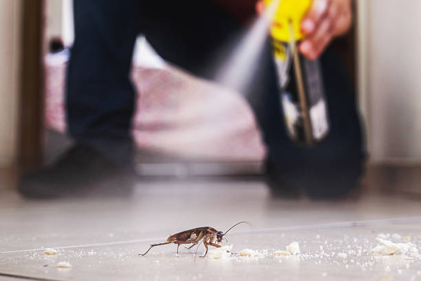 Best Bed Bug Extermination  in Colfax, WA