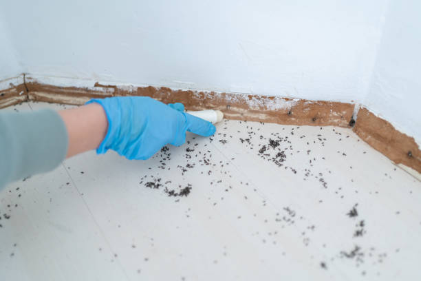 Best Affordable Pest Control Services  in Colfax, WA