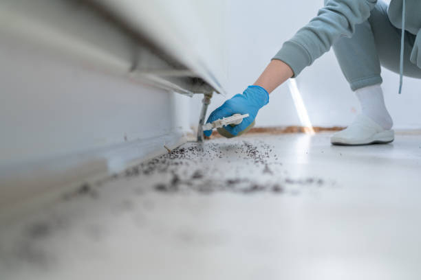 Best Commercial Pest Control Services  in Colfax, WA